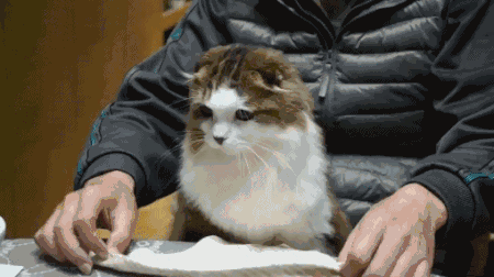 简短爆笑的笑话大全,新编幽默段子满满内涵插图 简短爆笑的笑话大全,新编幽默段子满满内涵