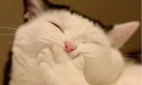 女主角脑袋靠在公交车的玻璃上 女主角脑袋靠在公交车的玻璃上