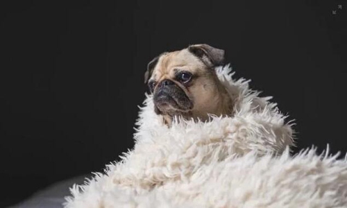 老板的情人当着原配说“我怀孕了” 老板的情人当着原配说“我怀孕了”