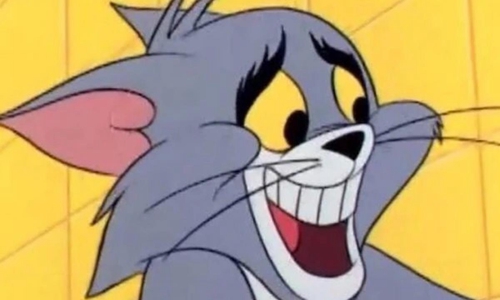 肉质鲜嫩的是年轻的母鸡，不好咬烂的是老母鸡