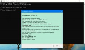 Win10专业版如何用命令来查看激活信息?-华尔子博-奥夏网