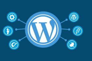 WordPress制作前端会员用户中心实用功能代码集合-华尔子博-奥夏网