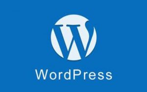 wordpress抓取文章第一张远程图片保存到本地的方法-华尔子博-奥夏网