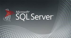 将Sql Server对象的当前拥有者更改成目标拥有者-华尔子博-奥夏网
