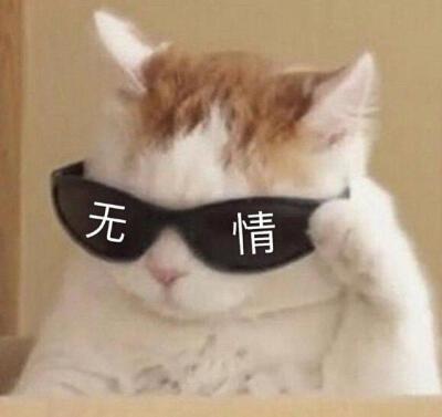 要我动几次你们才知道我是醒着的