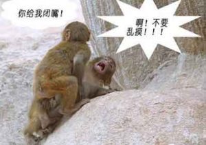 今天陪朋友吃饭,身上绝对没有女人的香水味-华尔子博-奥夏网