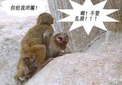 今天陪朋友吃饭,身上绝对没有女人的香水味 今天陪朋友吃饭,身上绝对没有女人的香水味