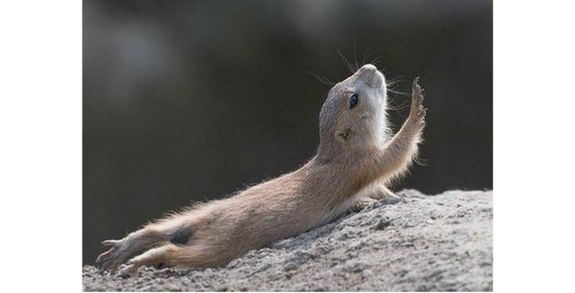 我妈不给我买那台折腾4的电脑