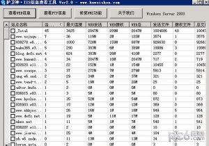 护卫神IIS信息查看器 v2.2官方版-华尔子博-奥夏网
