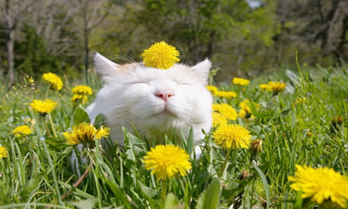 笑到上不来气的搞笑段子 一个比一个搞笑！