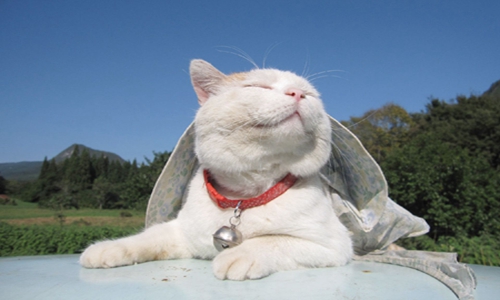 笑到上不来气的搞笑段子 一个比一个搞笑！