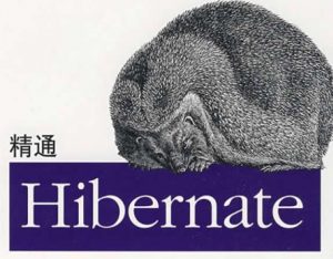 Hibernate是什么?Hibernate的优势有哪些?-华尔子博-奥夏网