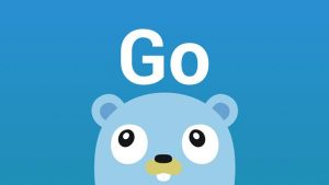 Go语言简介,为什么要学习Go语言-华尔子博-奥夏网