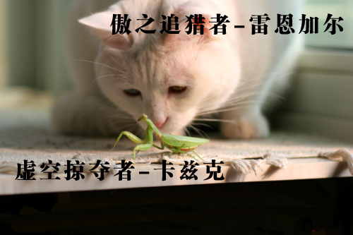 段子手提莫勾搭安妮 段子手提莫勾搭安妮