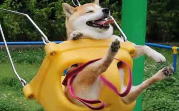 幽默笑话大全:你嫂子不在家,我害怕误会插图 幽默笑话大全:你嫂子不在家,我害怕误会