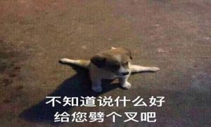 调皮搞笑的聊天话语,气死人不偿命的搞笑句子-华尔子博-奥夏网