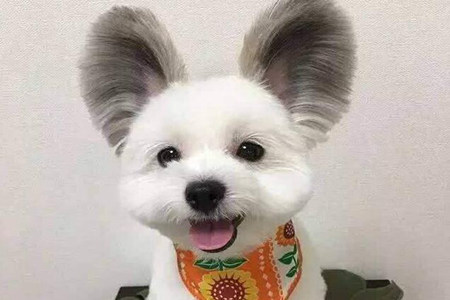 幽默笑话大全:于是换了一个有钱的男朋友 幽默笑话大全:于是换了一个有钱的男朋友