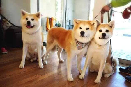 幽默笑话大全:于是换了一个有钱的男朋友 幽默笑话大全:于是换了一个有钱的男朋友