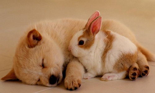 可爱又搞笑的朋友圈句子，那些朋友圈的沙雕段子文案语句