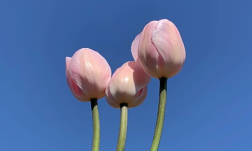 怎么撩对象让对象下面有反应,爱意绵绵的一句话 怎么撩对象让对象下面有反应,爱意绵绵的一句话