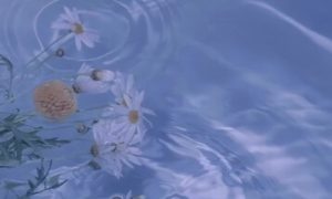 怎么撩对象让对方有反应,爱意绵绵的一句话-华尔子博-奥夏网