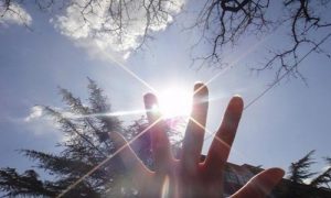 没有一见钟情的资本,缺少日久生情的条件-华尔子博-奥夏网