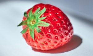 一问一答整人套路,超级皮的聊天套路-华尔子博-奥夏网