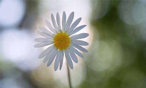 甜到炸的暖心爱情故事，真正的爱情就是童话