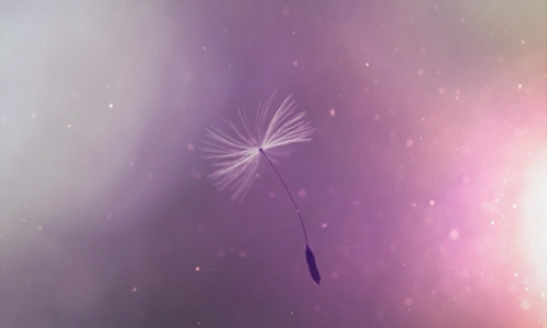 污到爆的情话，情侣之间各种开车的虎狼之词