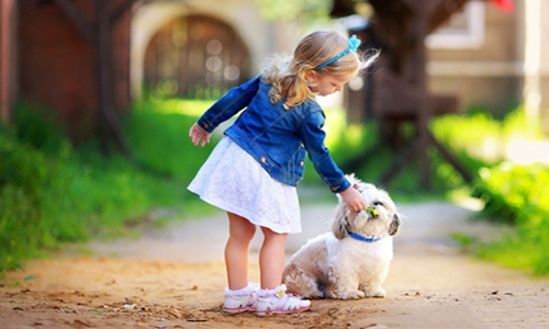 可爱的睡前故事大全 简短温馨的睡前故事讲给女友 可爱的睡前故事大全 简短温馨的睡前故事讲给女友
