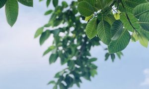 睡前故事哄女朋友,哄对象专用的暖心小故事-华尔子博-奥夏网