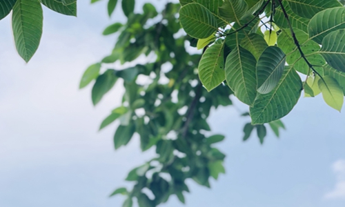 睡前故事哄女朋友,哄对象专用的暖心小故事 睡前故事哄女朋友,哄对象专用的暖心小故事
