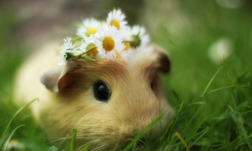 脑筋急转弯大全及答案 爆笑版考验智商的时刻来了 脑筋急转弯大全及答案 爆笑版考验智商的时刻来了