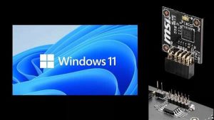 行业高管怒批Win11需必备TPM 2.0芯片:台式机噩梦-华尔子博-奥夏网