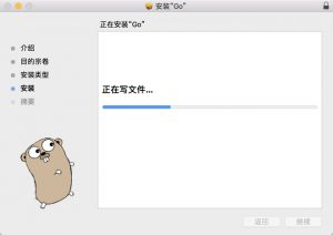 如何在Mac OS上安装Go语言开发包-华尔子博-奥夏网