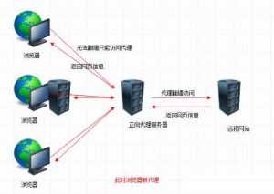 开发掌握Nginx之一:反向代理、动静分离、负载均衡-华尔子博-奥夏网