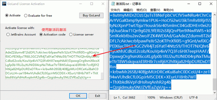 Goland 2019下载和安装(带破解补丁和汉化包) Goland 2019下载和安装(带破解补丁和汉化包)