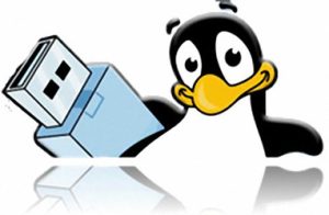 使用U盘安装Linux系统的方法步骤-华尔子博-奥夏网