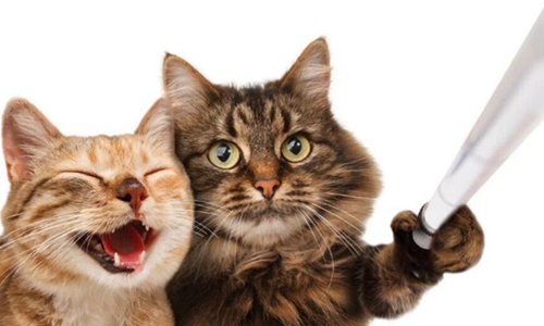 笑话大全笑到肚子疼超级爆笑 不笑算我输 笑话大全笑到肚子疼超级爆笑 不笑算我输