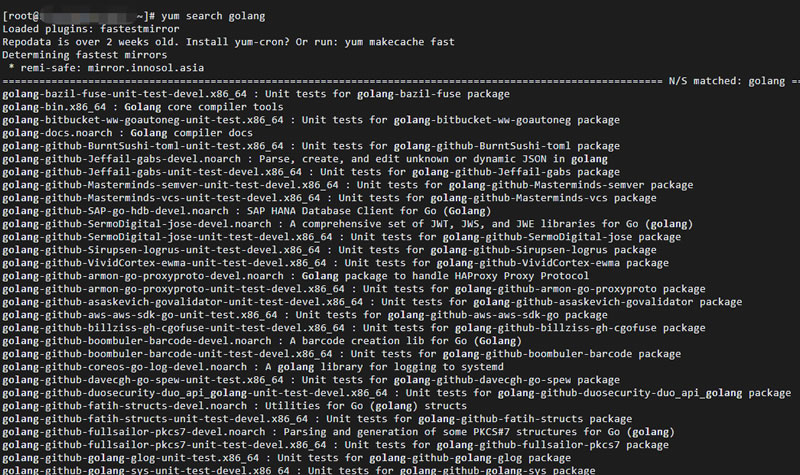 阿里云 CentOS 7.6 yum 安装 go(golang) 语言环境
