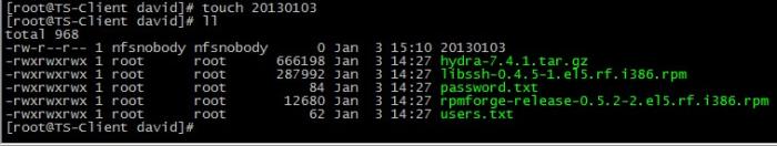 centos配置nfs服务详细步骤(centos开启nfs服务) centos配置nfs服务详细步骤(centos开启nfs服务)
