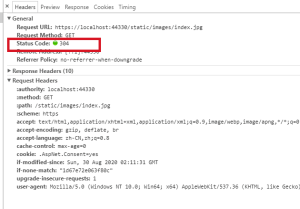 asp .net core静态文件资源的深入讲解-华尔子博-奥夏网