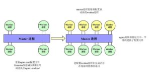 Nginx 的 reload 流程-华尔子博-奥夏网