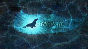 备忘单:提升你的 MariaDB 和 MySQL 数据库技能-华尔子博-奥夏网
