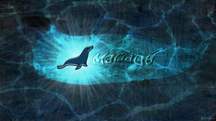 备忘单:提升你的 MariaDB 和 MySQL 数据库技能插图 备忘单:提升你的 MariaDB 和 MySQL 数据库技能