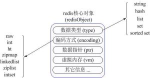 Redis数据库的应用场景介绍-华尔子博-奥夏网