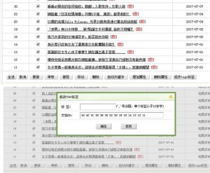 DEDECMS后台文章管理中增加批量添加tag标签功能示例-华尔子博-奥夏网