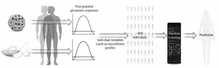 大数据预测（大数据核心应用）